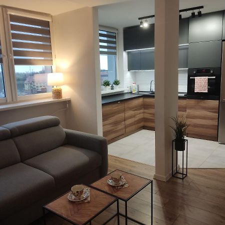 Apartament Z Widokiem Na Miasto Гливице Экстерьер фото