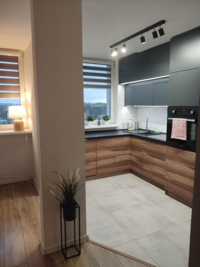 Apartament Z Widokiem Na Miasto Гливице Экстерьер фото