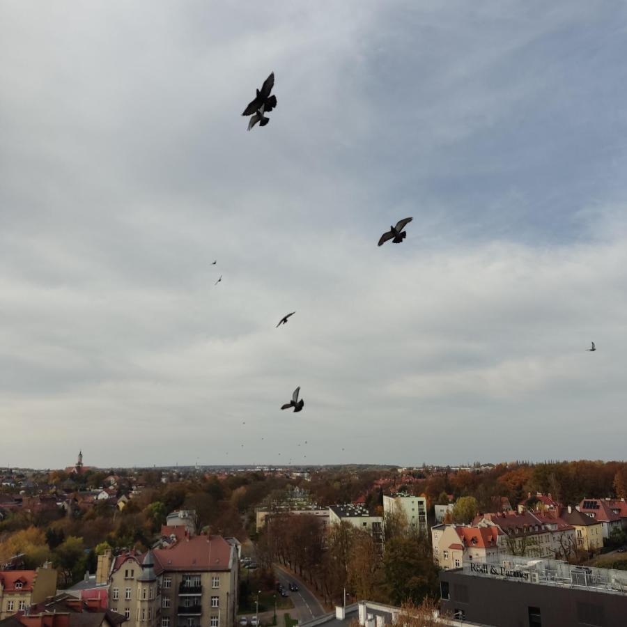 Apartament Z Widokiem Na Miasto Гливице Экстерьер фото